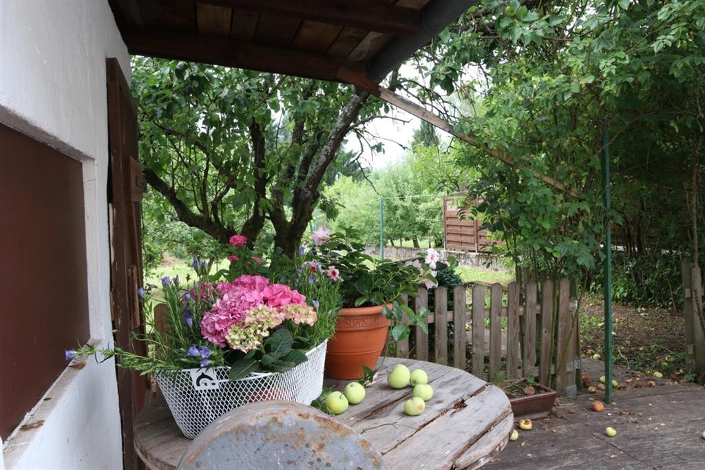 Garten (2)