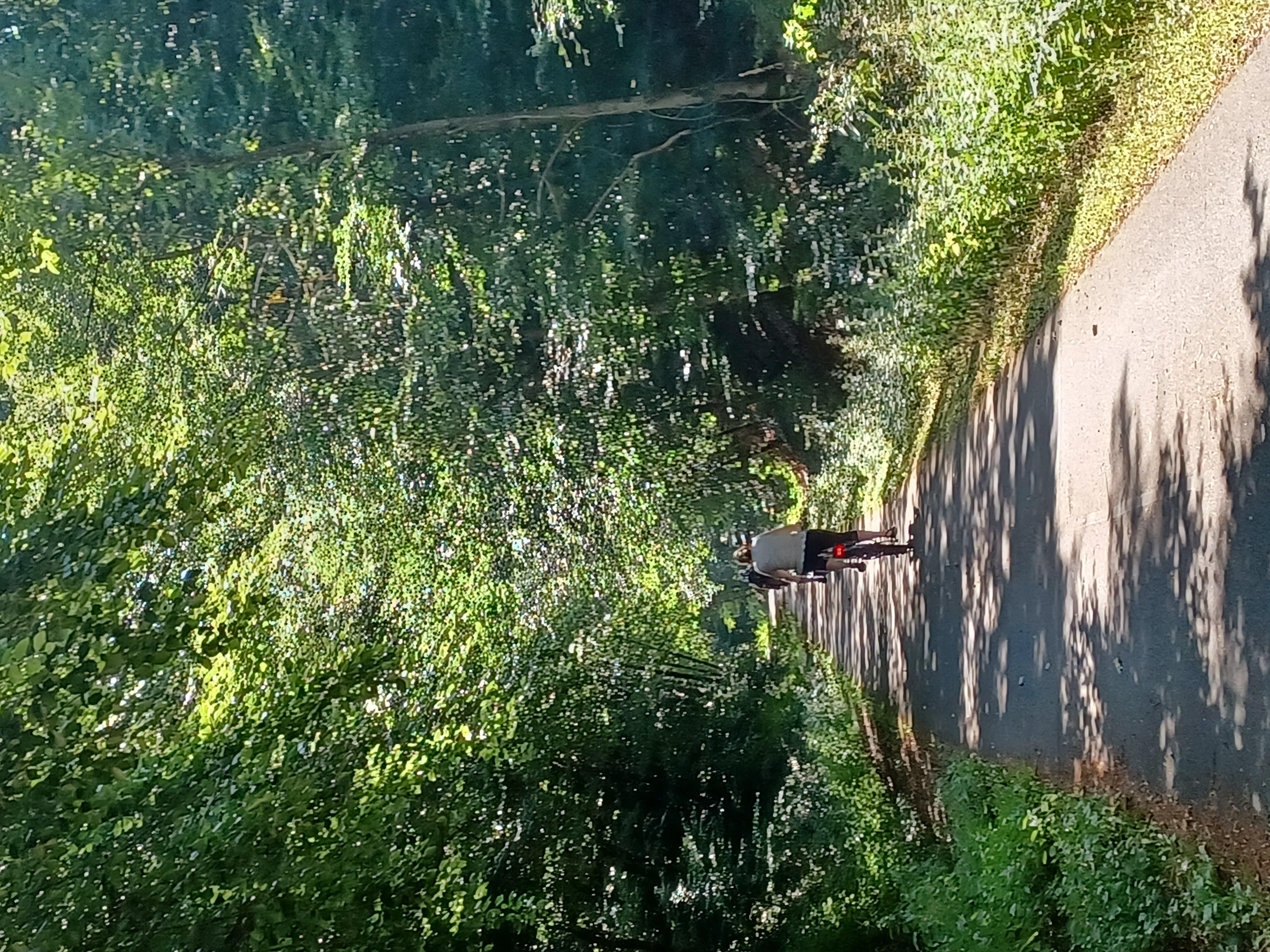 MaareMoselRadweg2