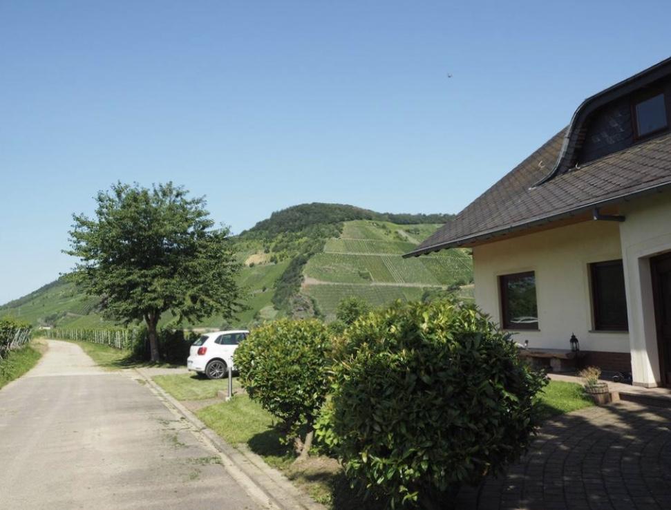Direkt im Weinberg