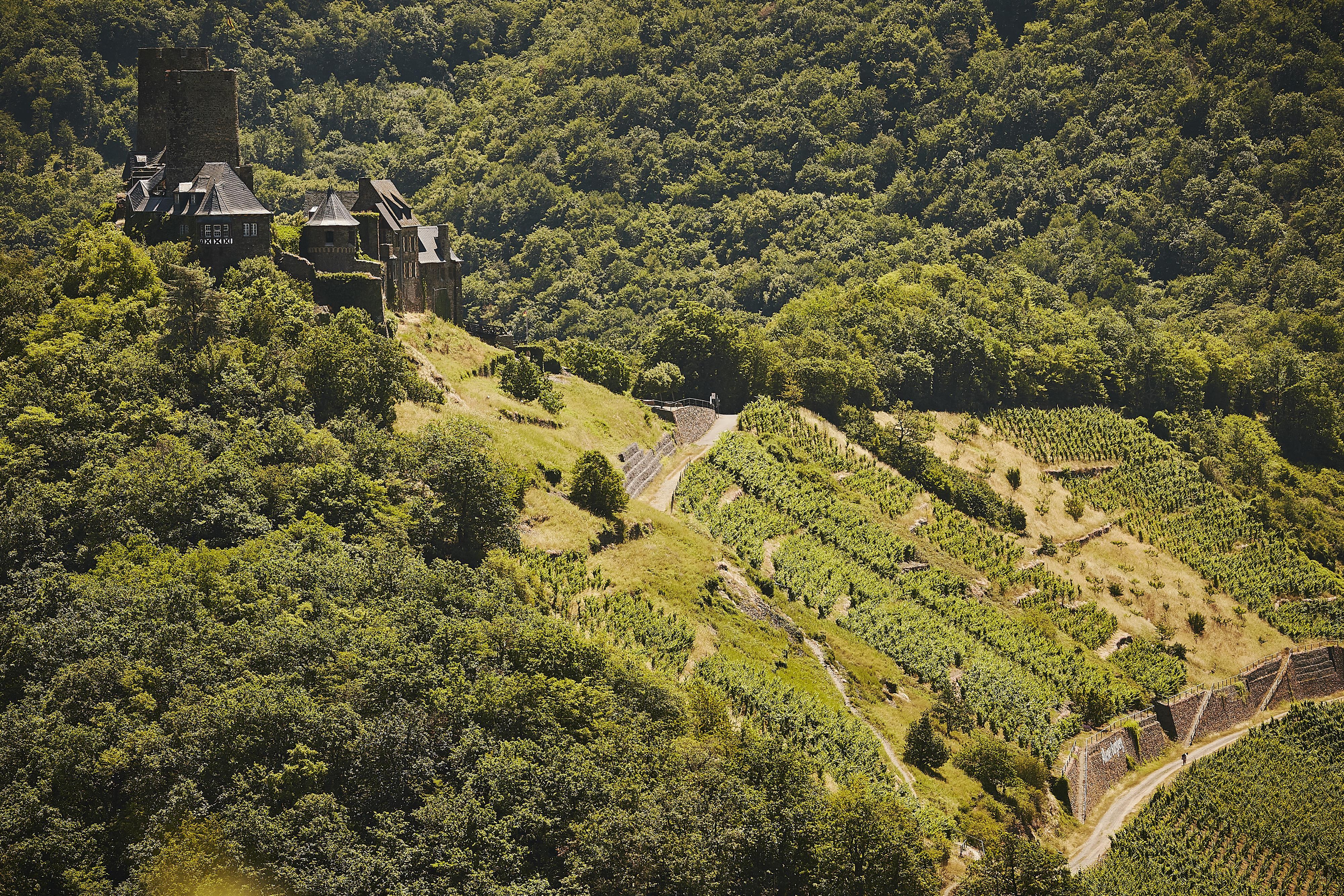 Blick auf Burg Thurant vom Bleidenberg