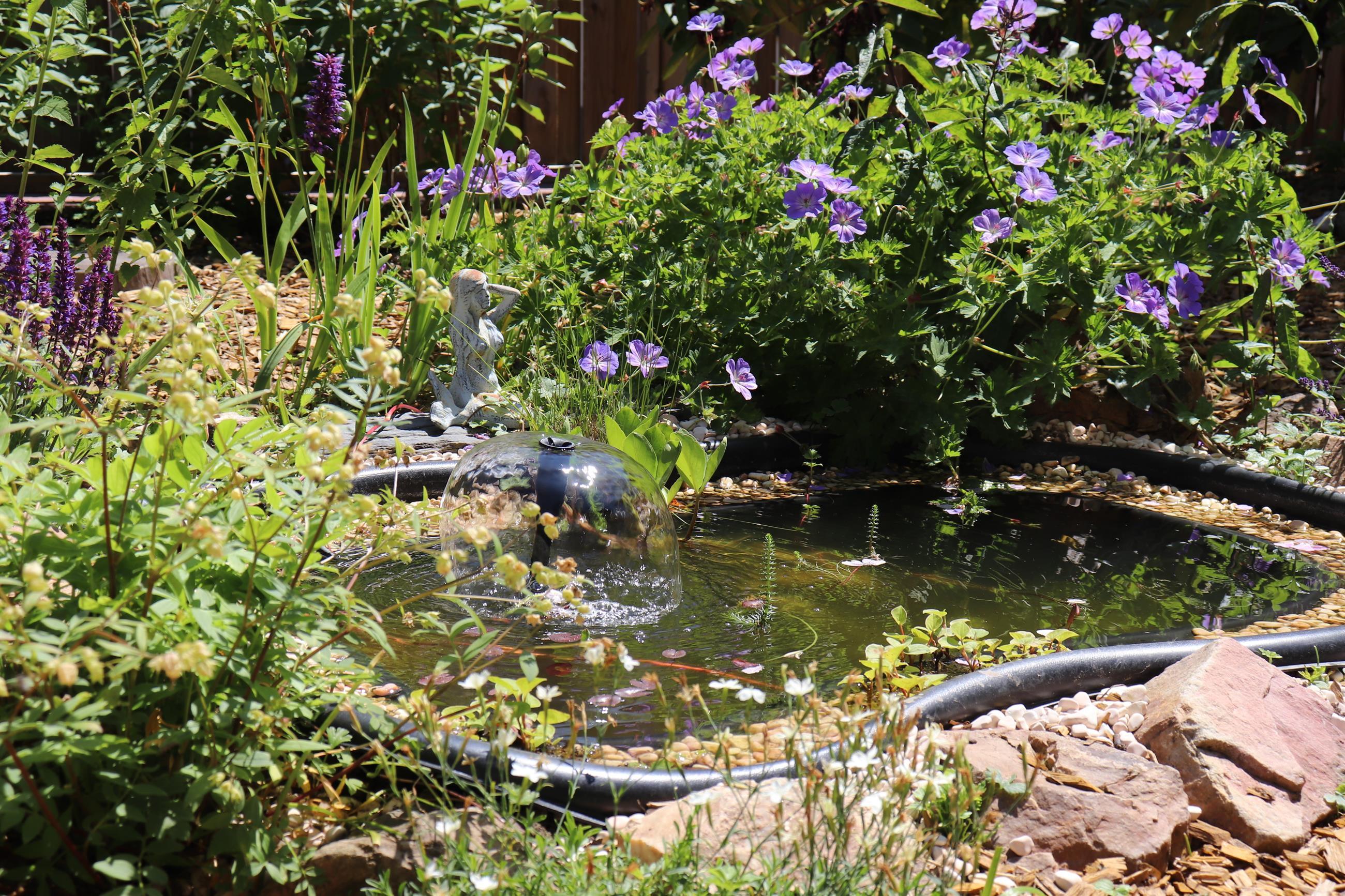 Kleiner Teich im Garten