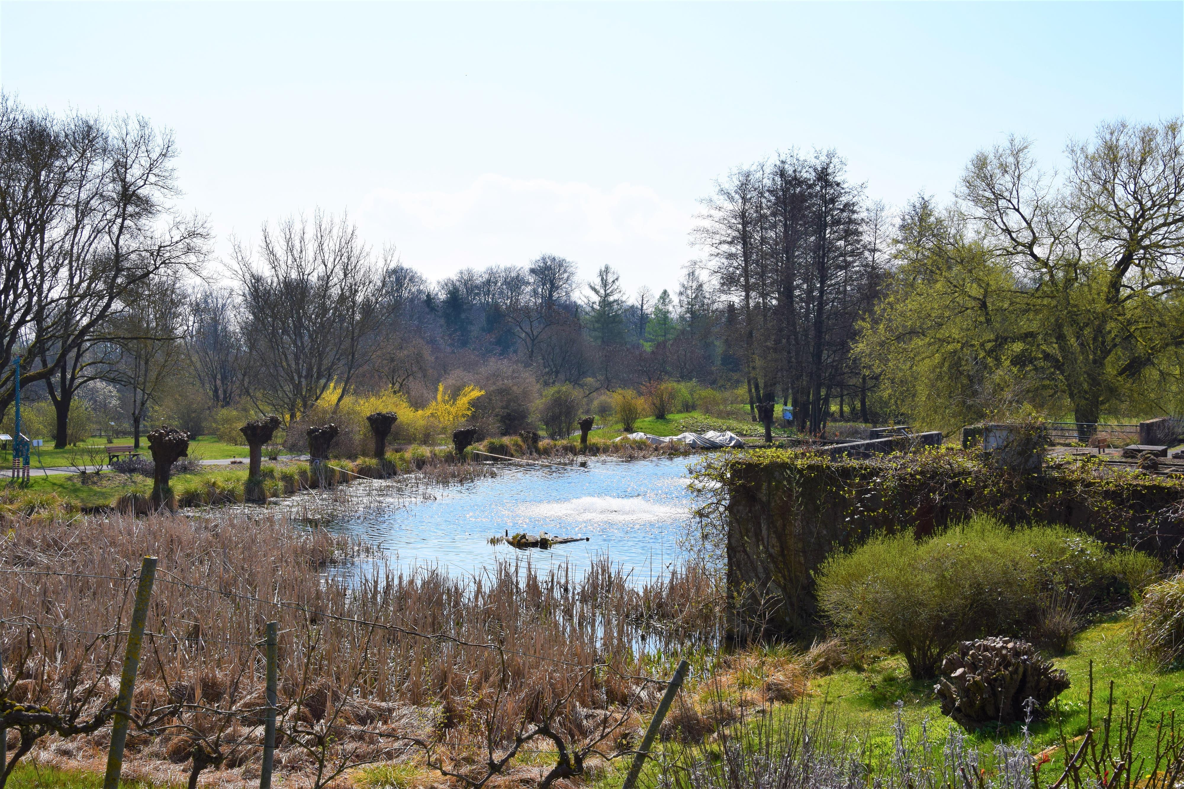 Neuer Botanischer Garten Marburg