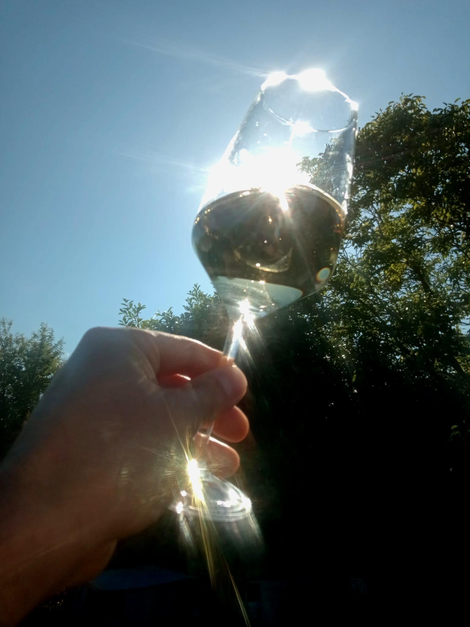 Weinglas im Sonnenschein
