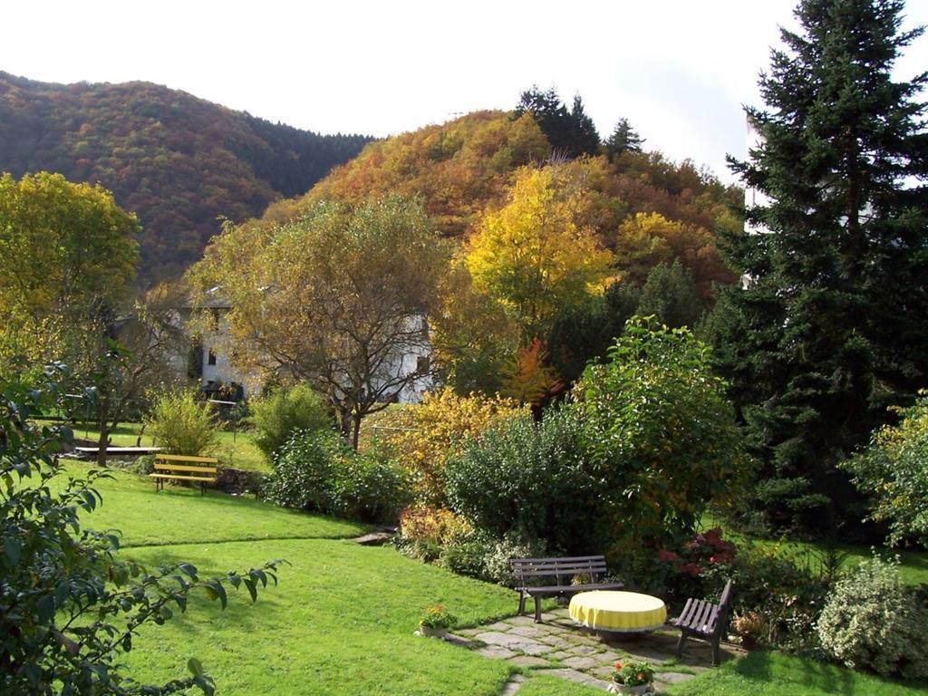 Natur rund um´s Haus am Ehrbach