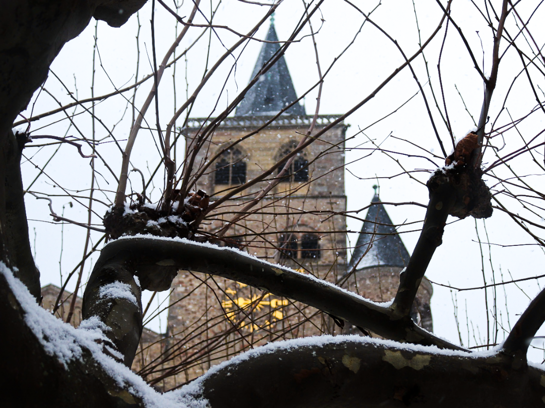 Trierer Dom im Winter