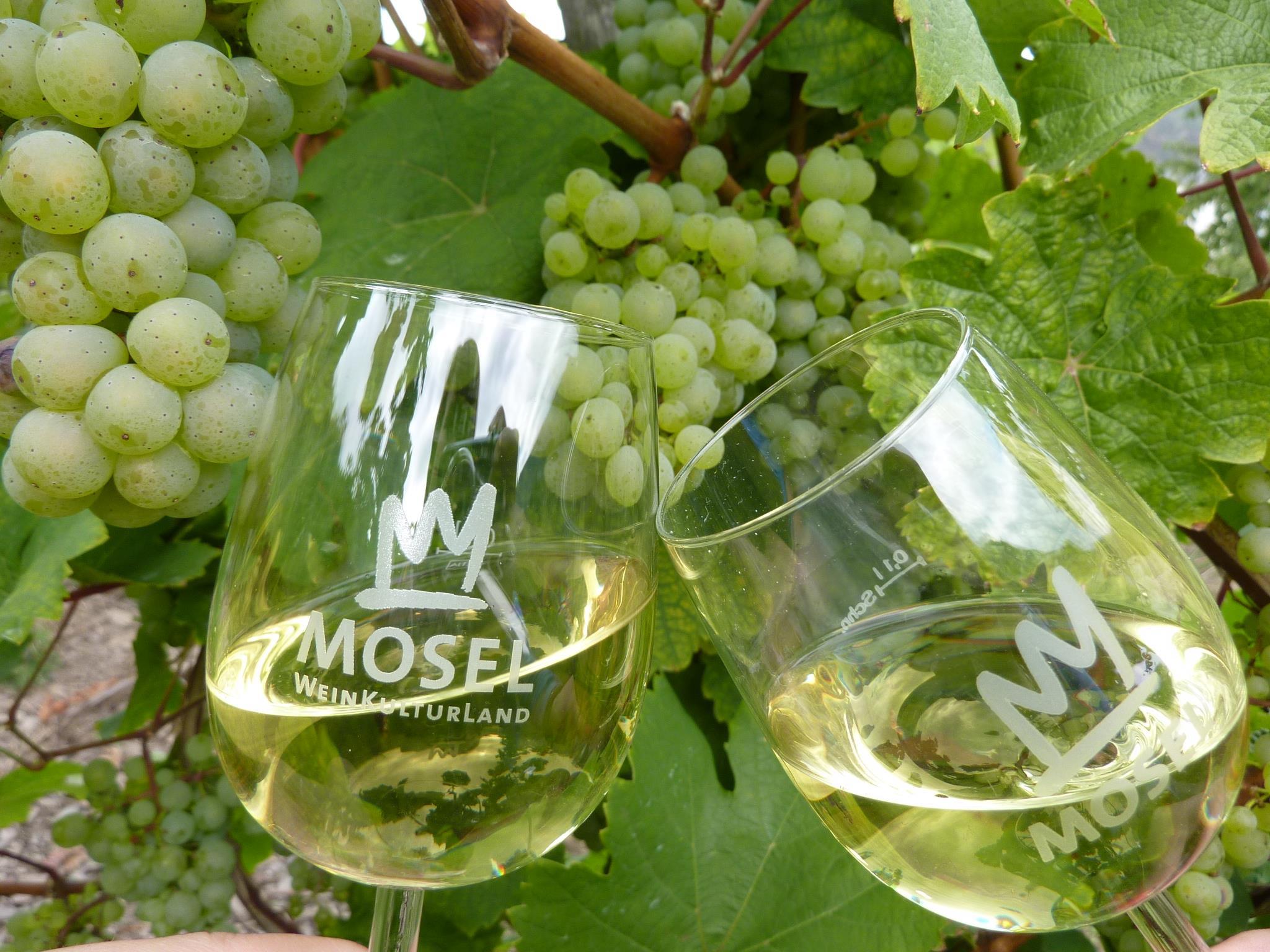 Mosel-Riesling