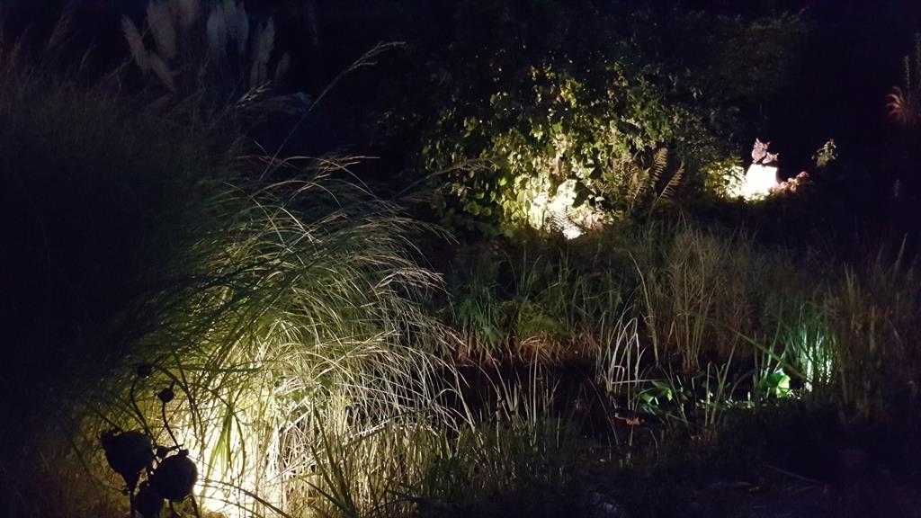 08.2016 Nachtbilder vom Garten