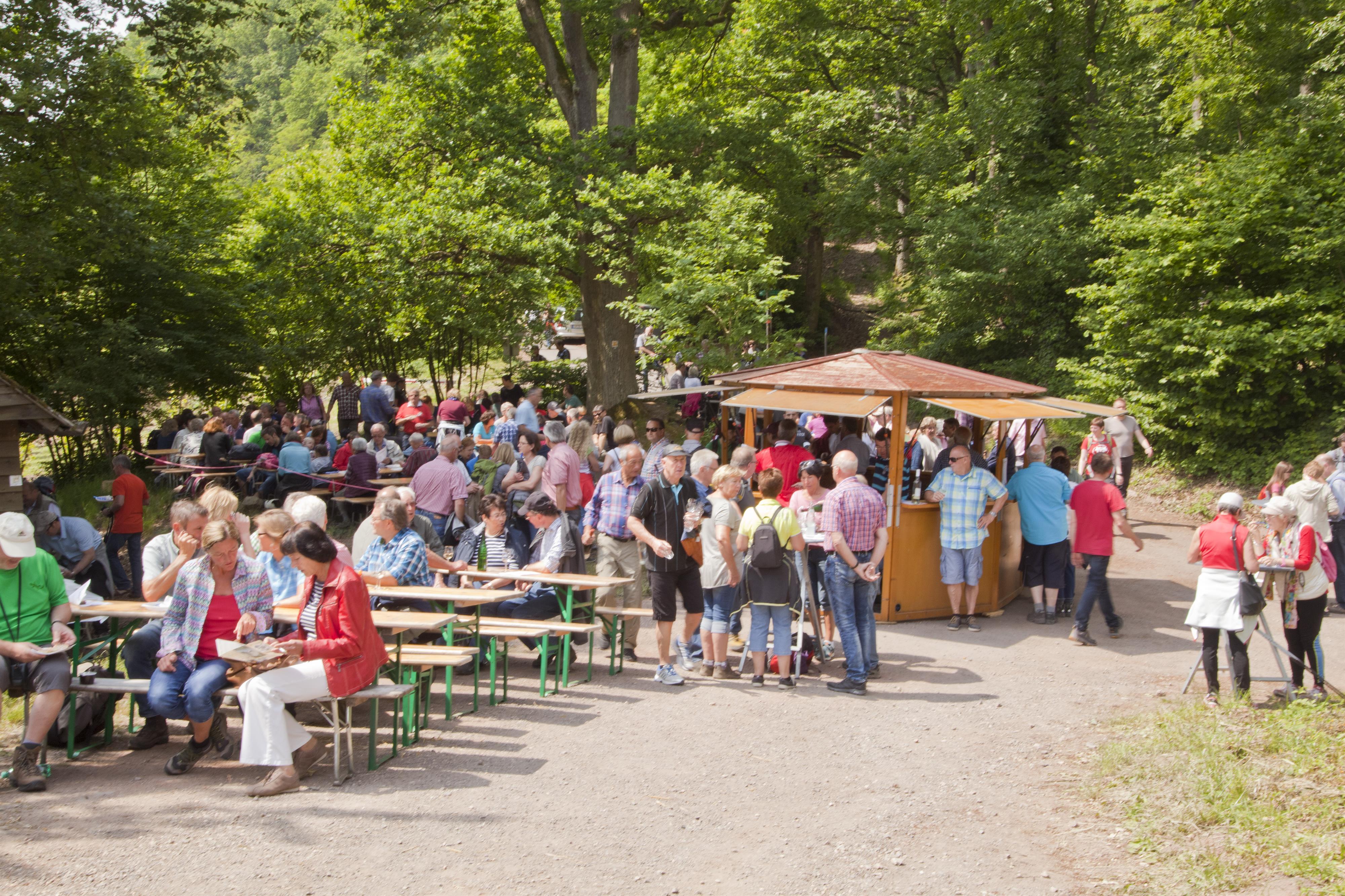 Drieschhütte