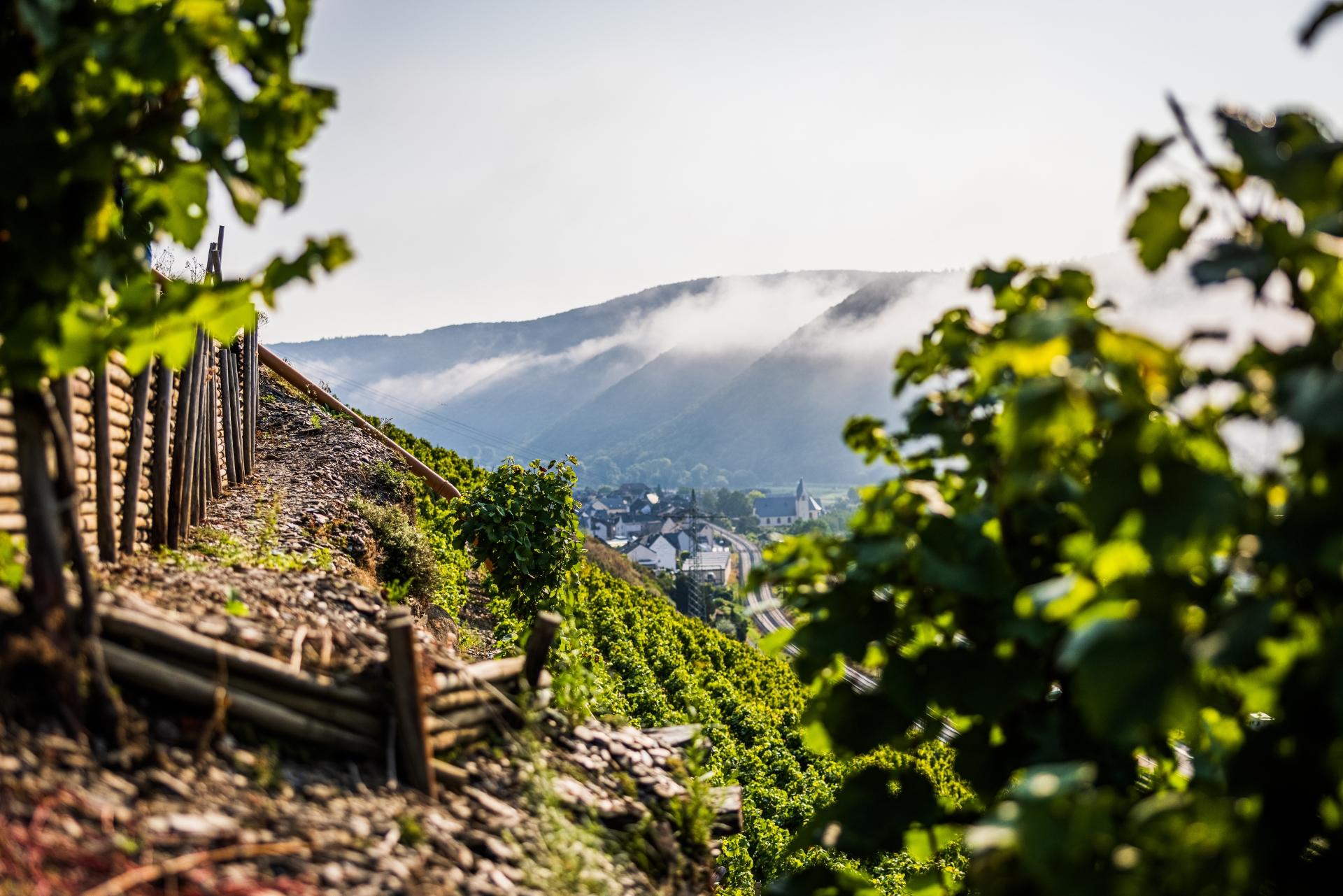 Terrassenlanschaft mit Blick auf Müden