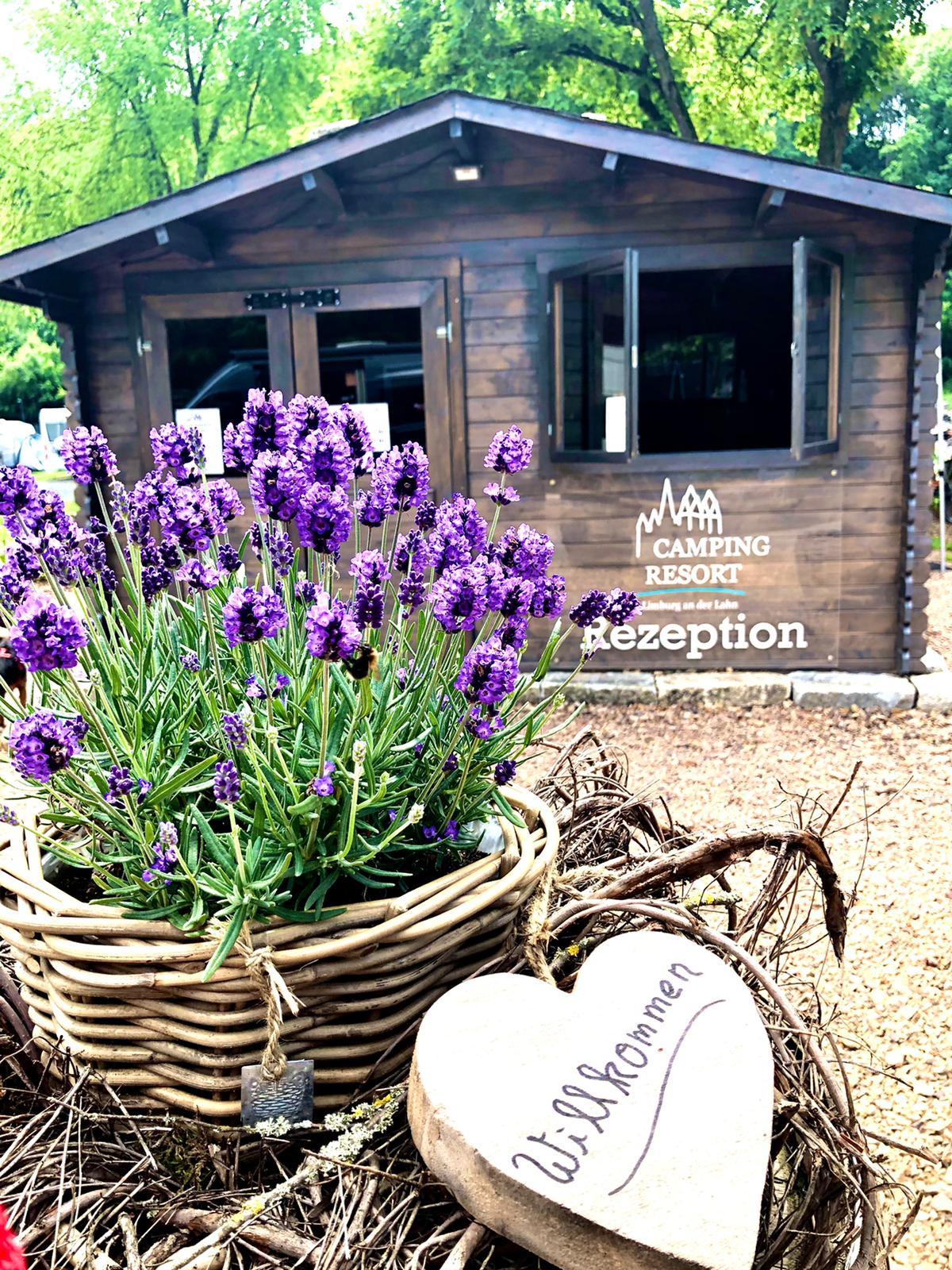 Camping Resort Limburg