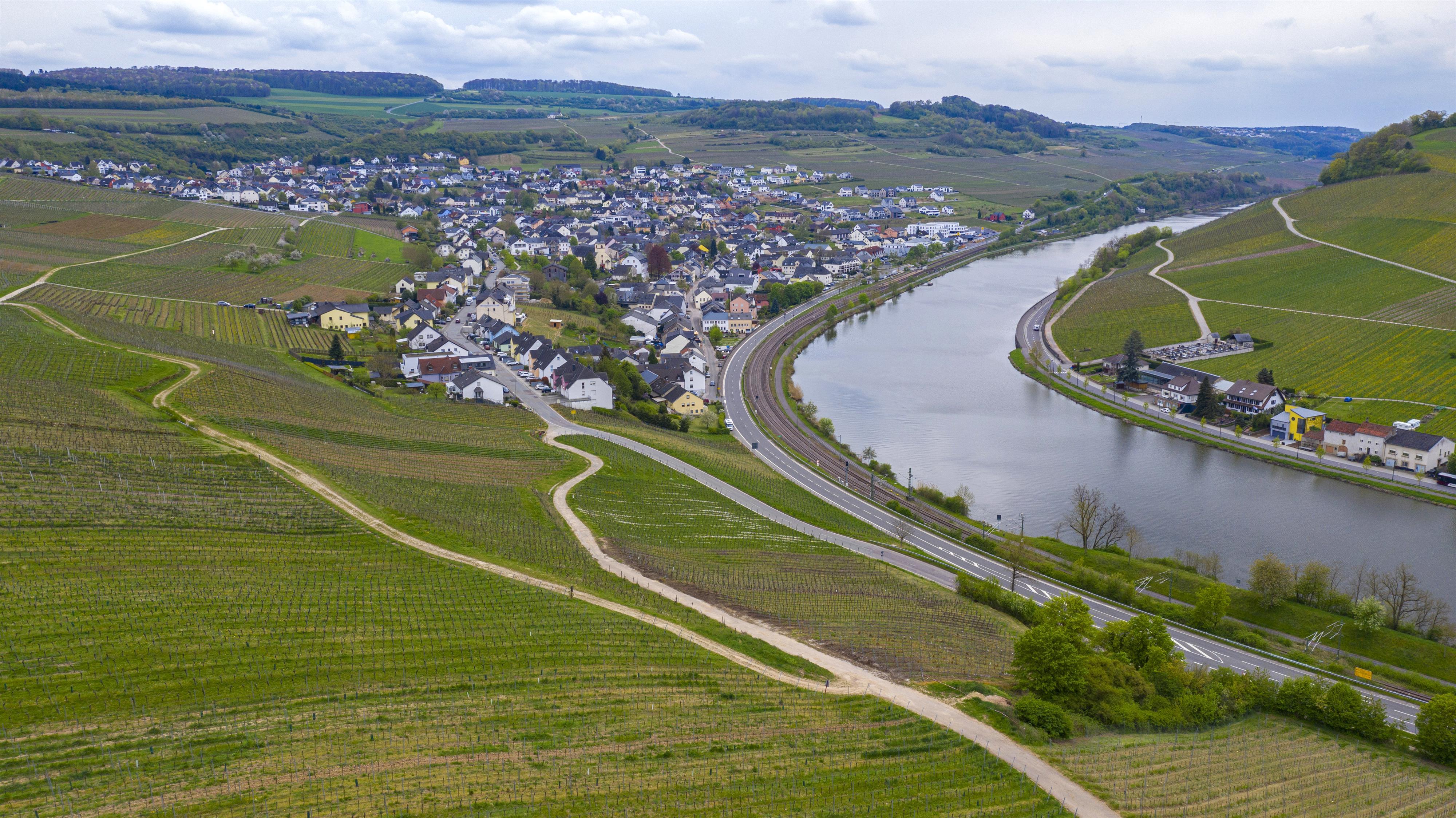 Blick auf Nittel