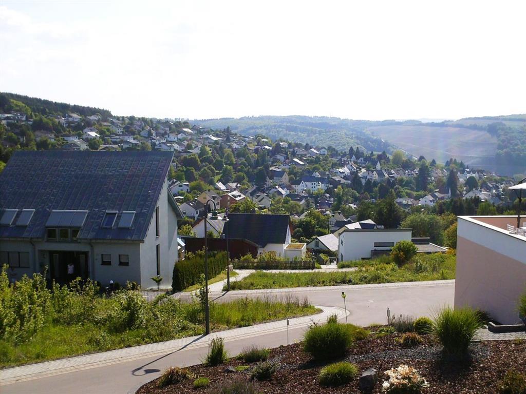 Blick von der Fewo Rieslingweg auf Mertesdorf