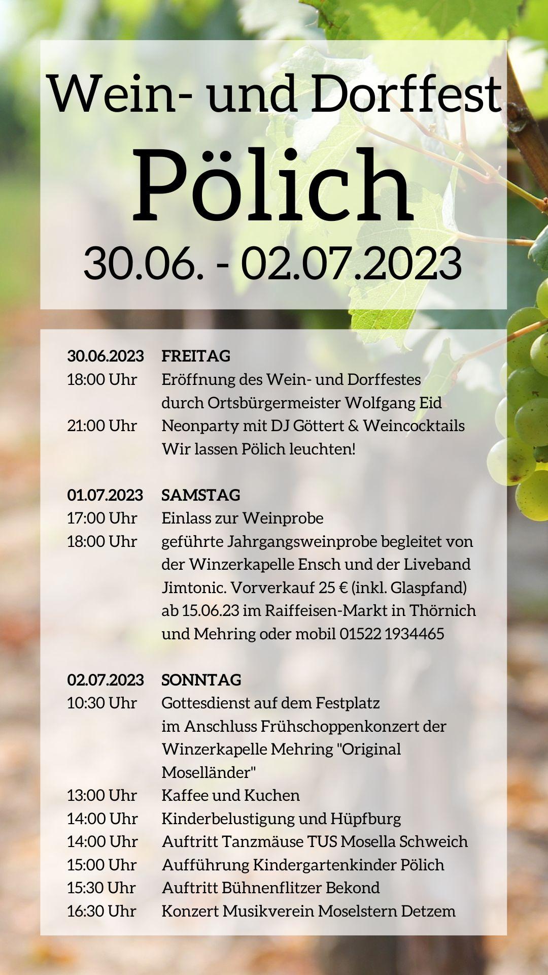Plakat Weinfest mit Programm