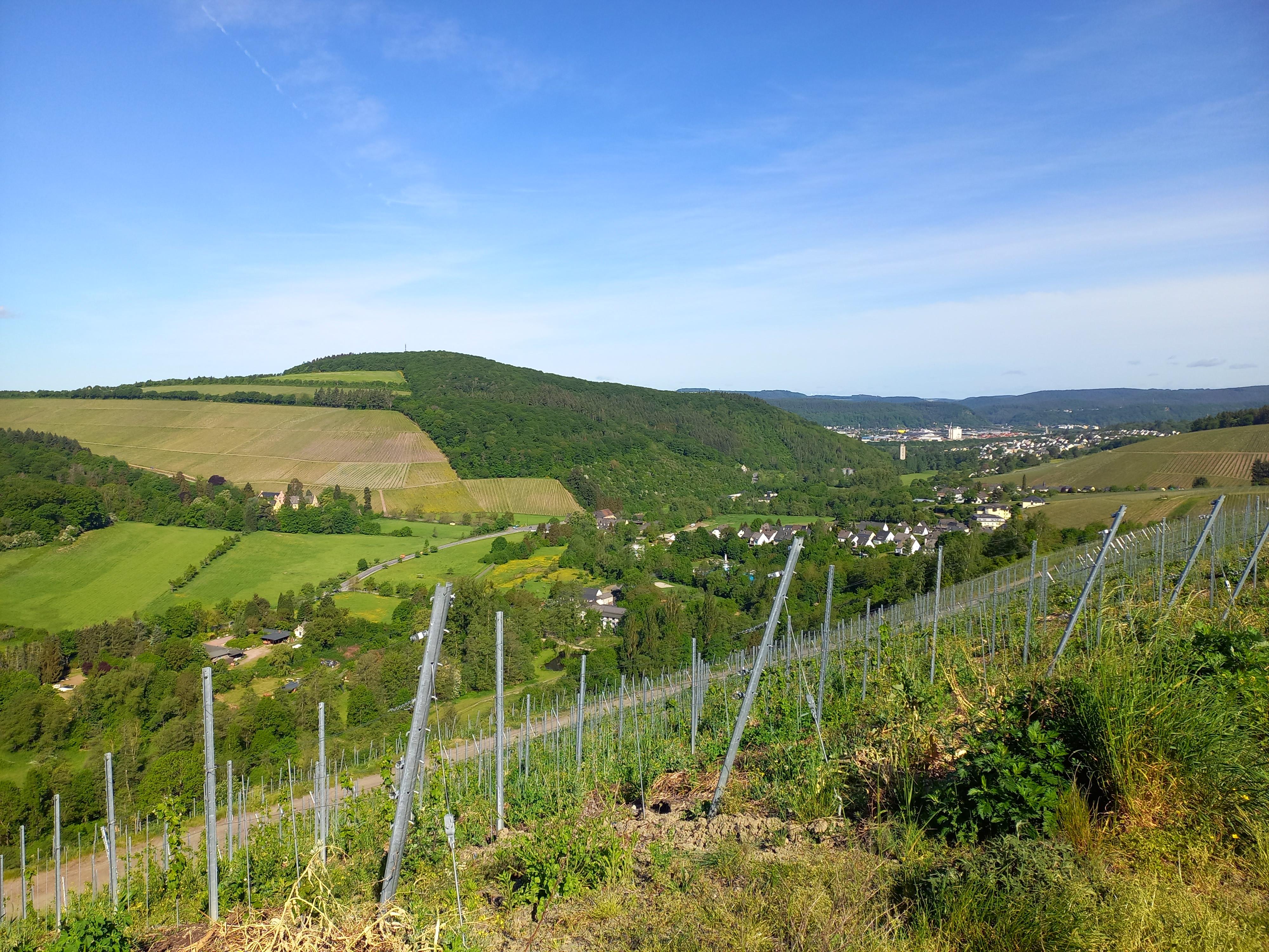 Ruwertaler Frühling