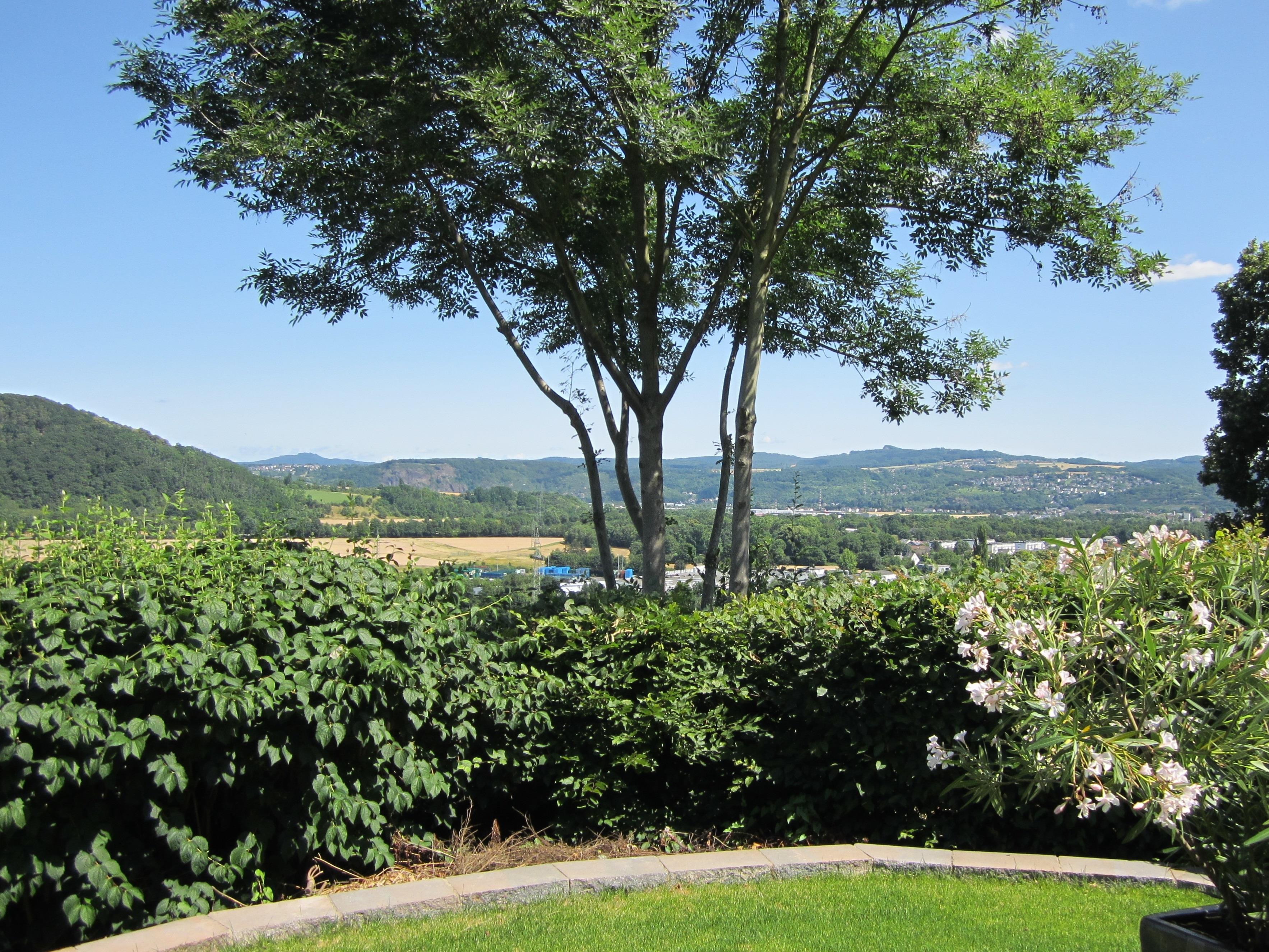 Blick vom Garten ins Rheintal