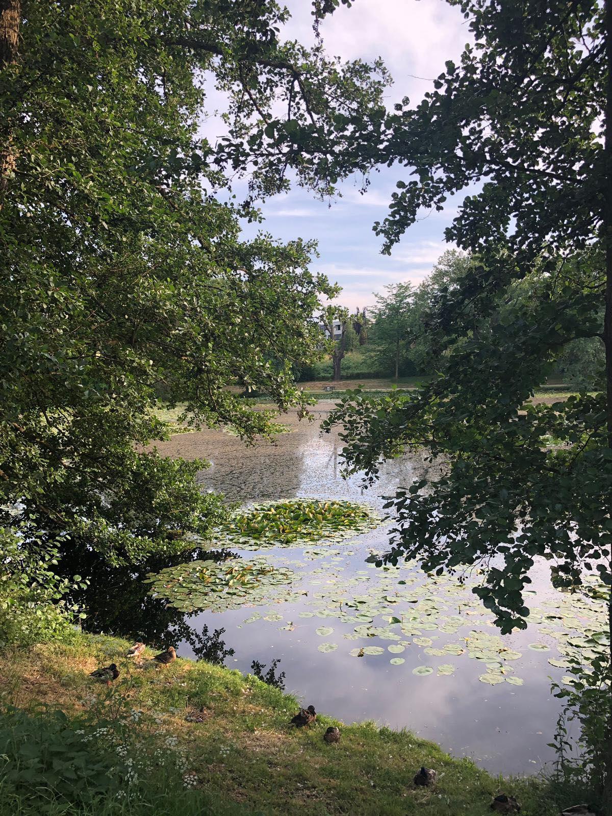46+ Gärtner Weiher, Frische backwaren aus weiher, herzhafter