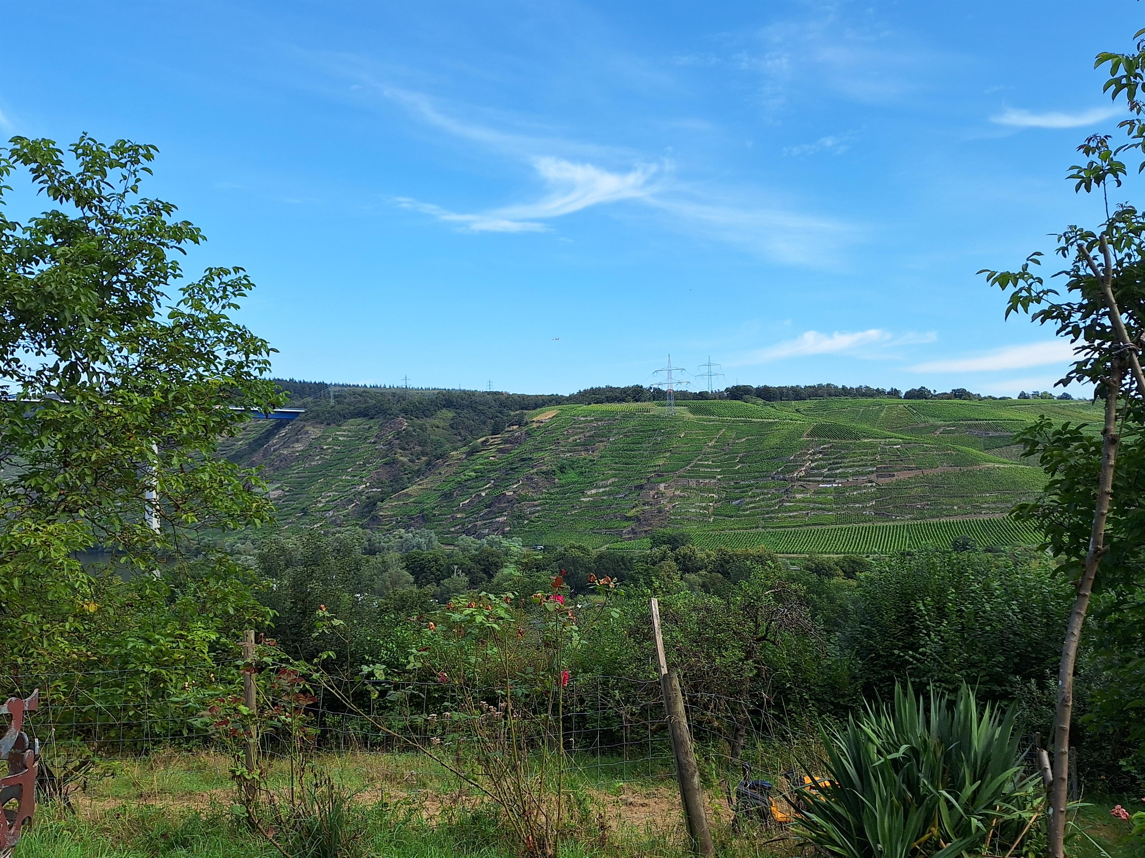 Ausblick auf die gegenüberliegende Weinberge