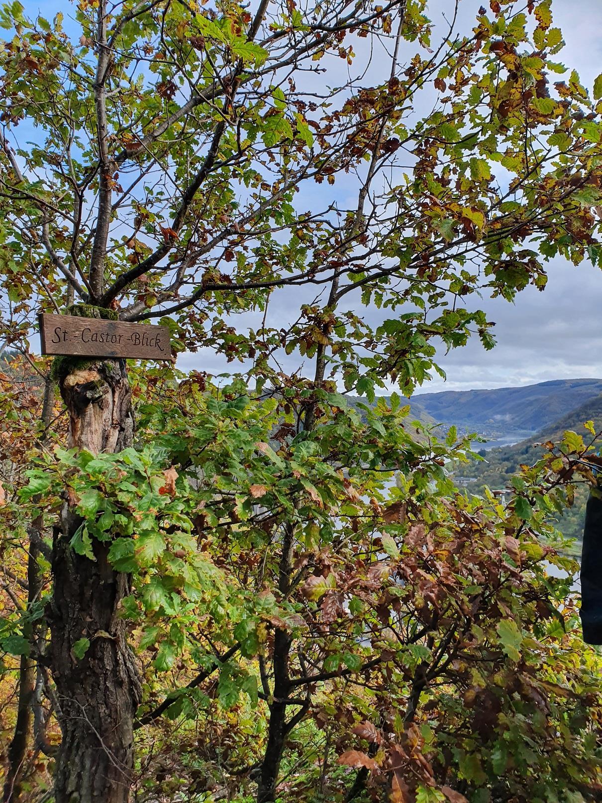 Aussichtsspunkt St. Castor Blick