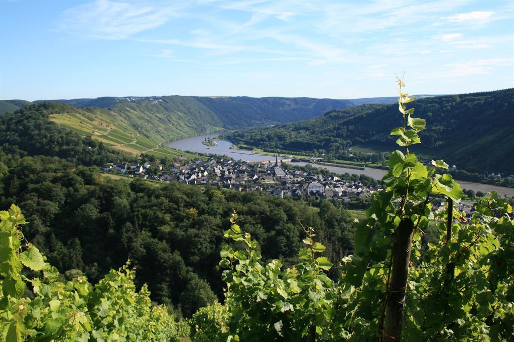 Ansicht Enkirch