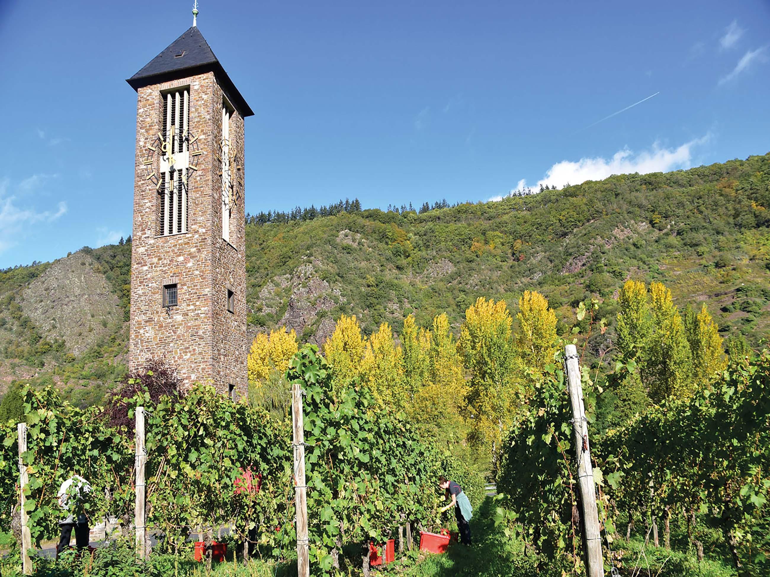 Turm Kloster Ebernach mit Weinberg