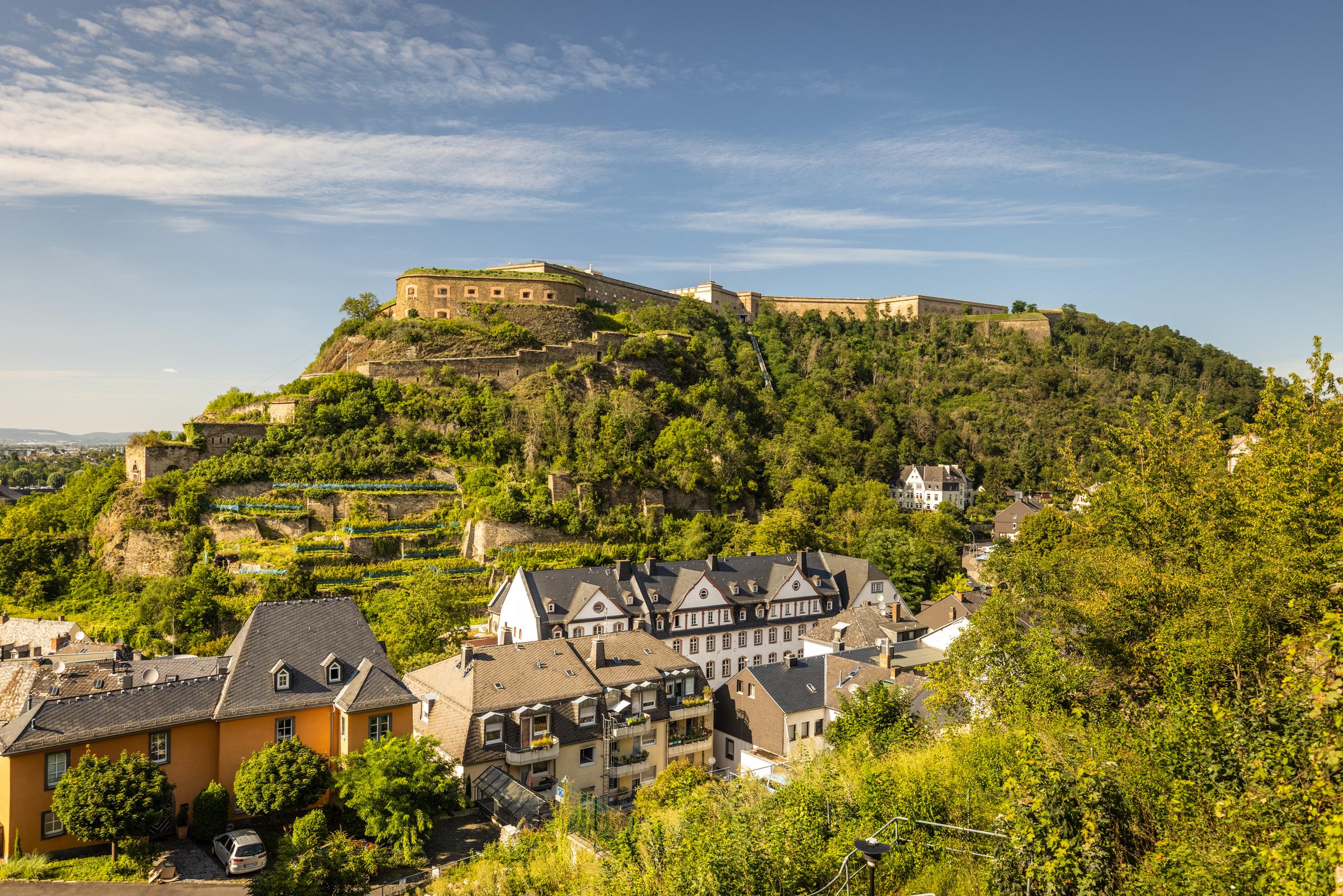 King of the Hill season 1 in Rheinland-Pfalz - Koblenz