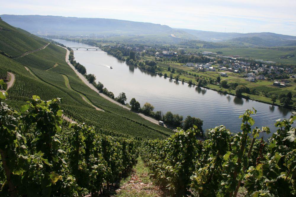 sommeransichtenschweich2010-204