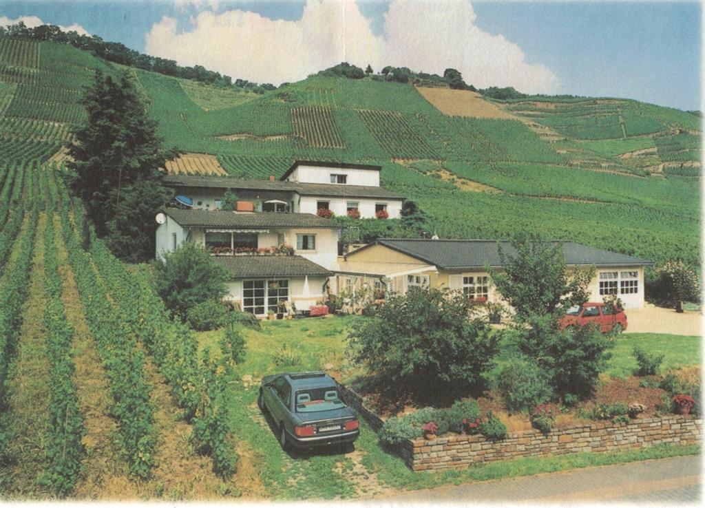 Winzerhof