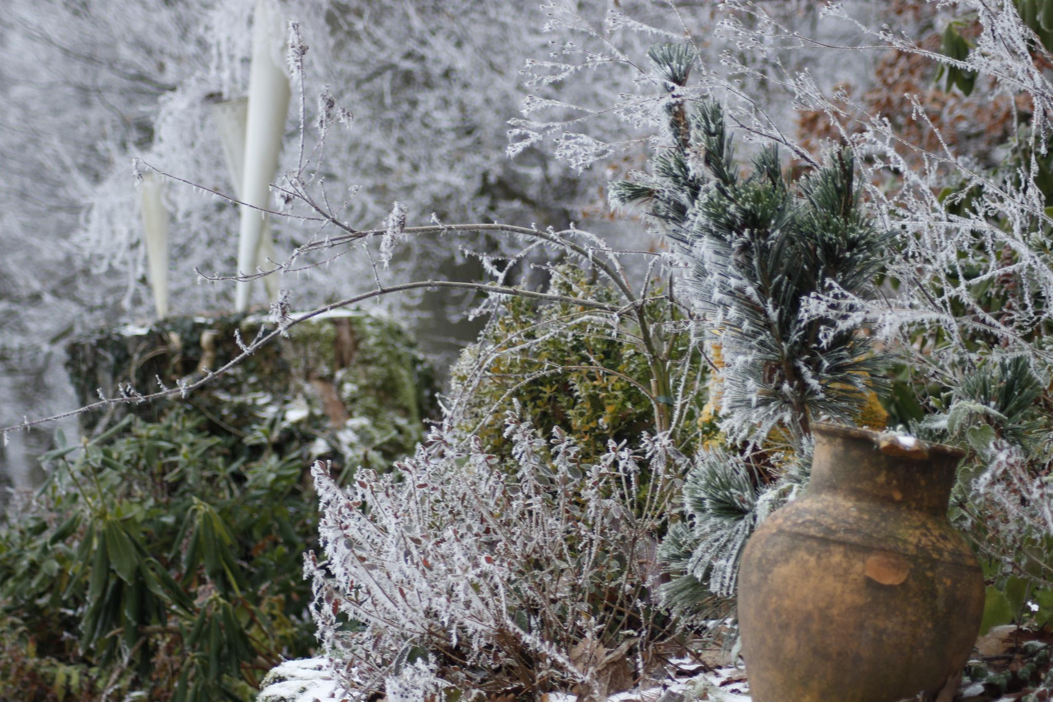 Garten Haus Ilex - Winter