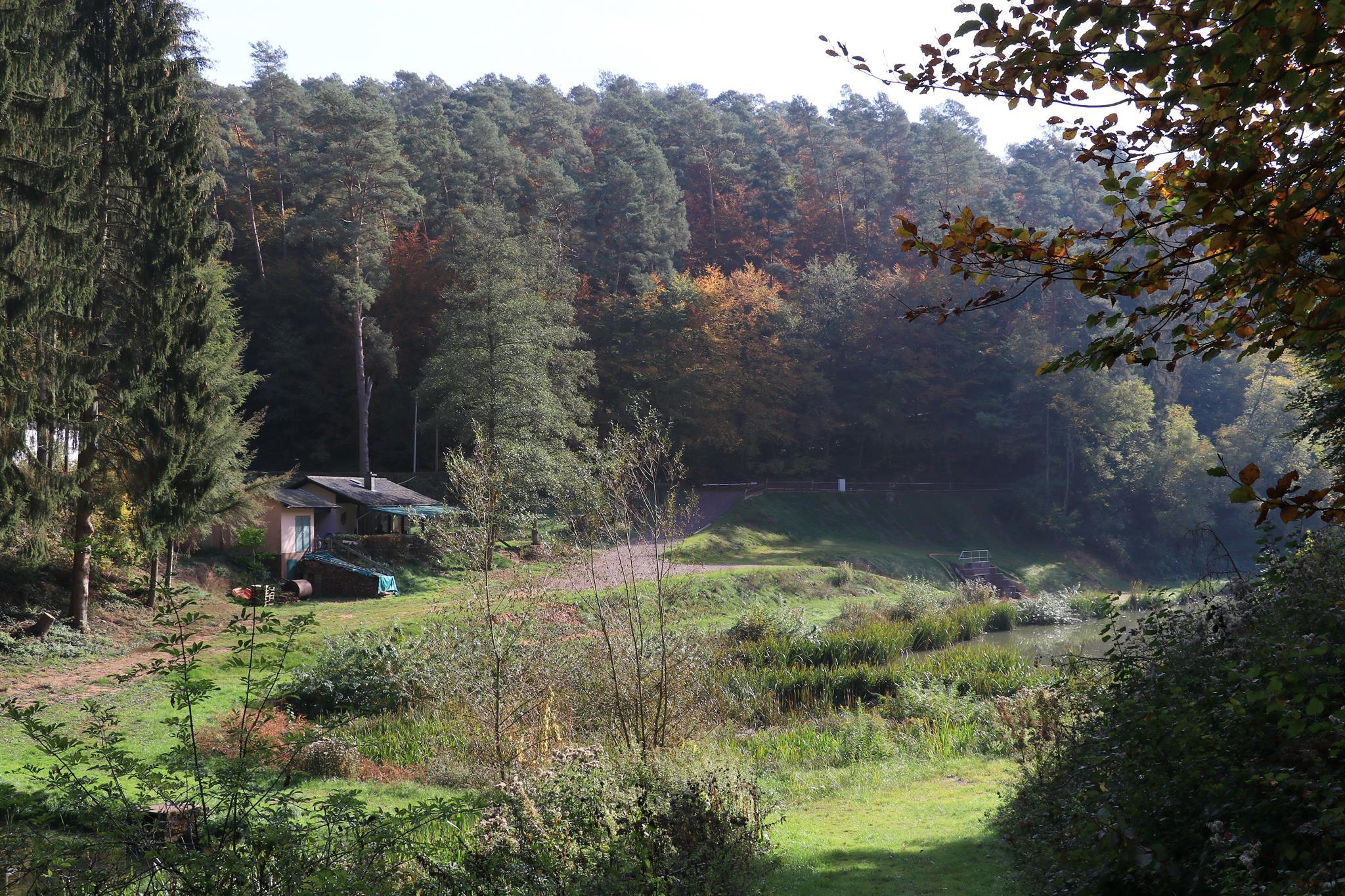 Angelweiher Trassem (4)