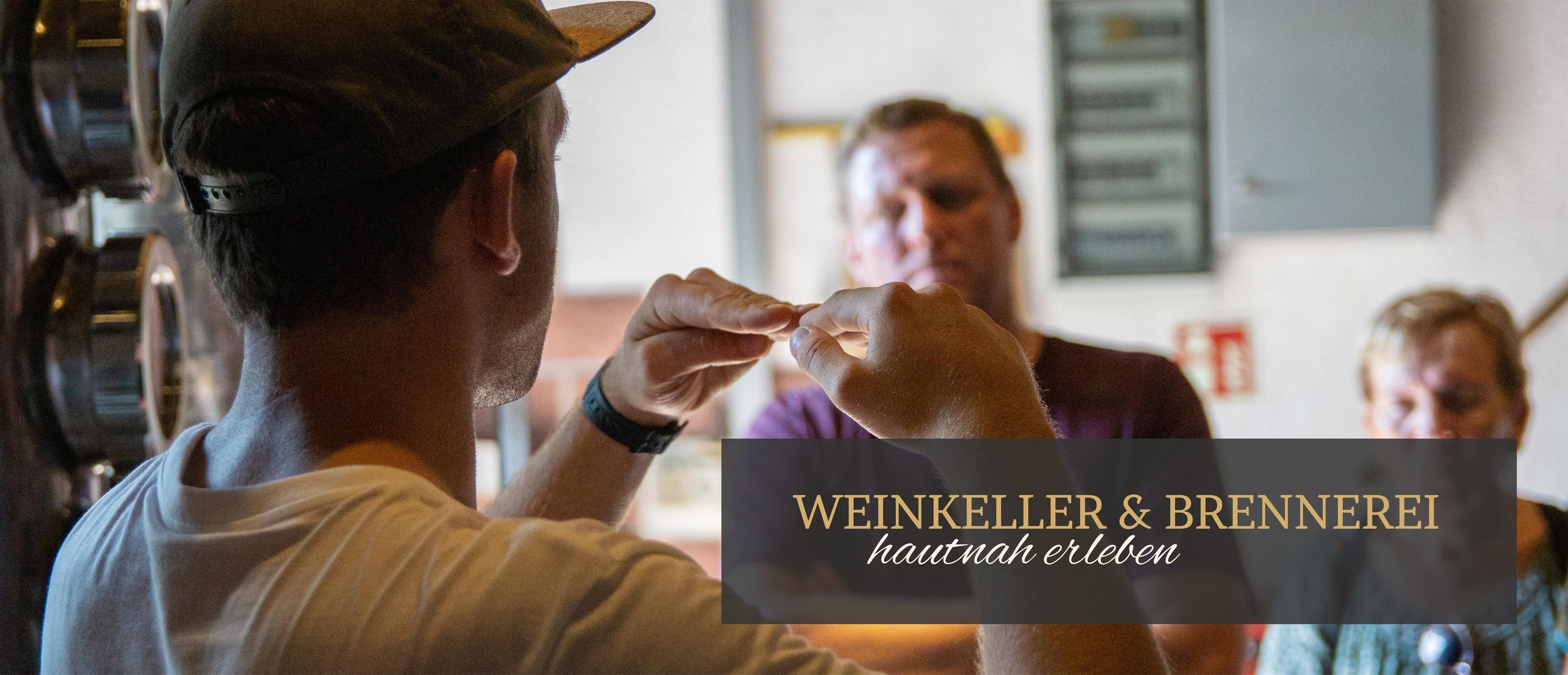 Weinkeller & Brennerei