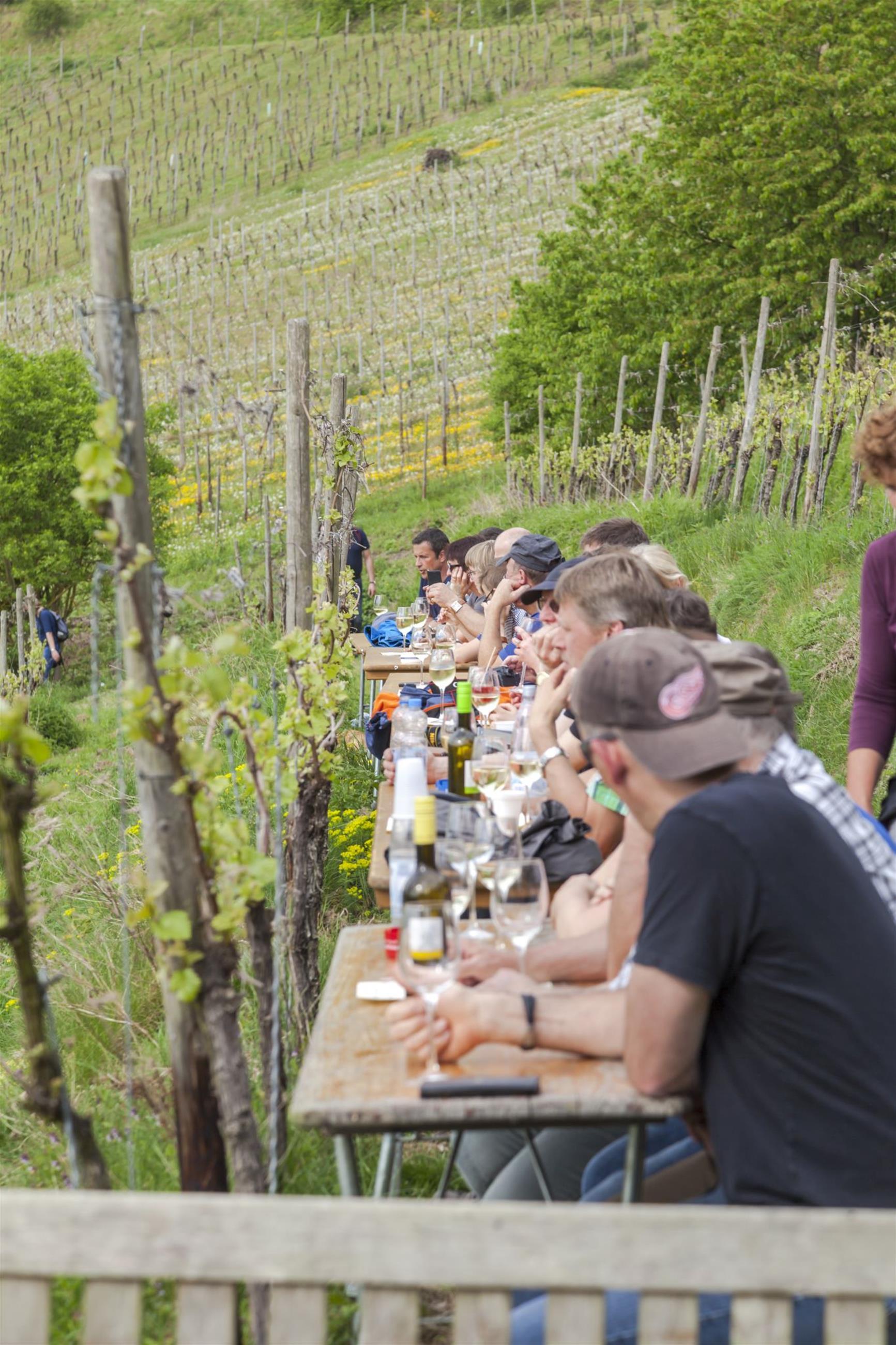 In den Weinbergen