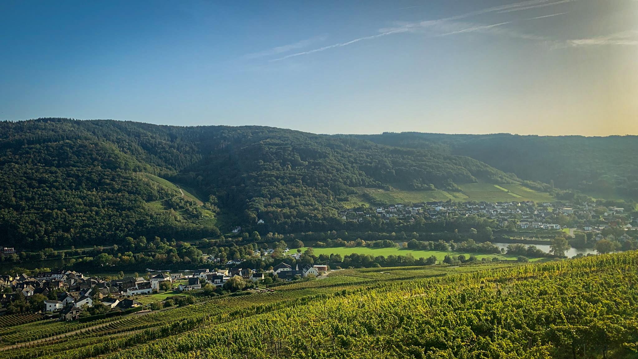 Blick vom Skywalk ins Moseltal