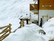 Marmotte