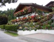 Wiesengrund, Haus