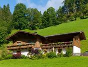 Hallinger, Haus