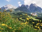 Unterstocking