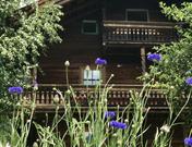 Alpine Chalet Wildkogel