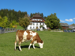Haus Sommer