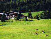 Pflüglhof