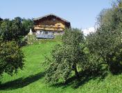 Enzinger, Katharina