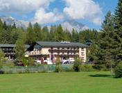 Hotel Alpina