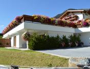 Apartements Delano