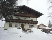 Palfengut, Schnell