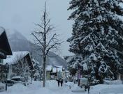 Parseierblick, App./Hotel-Garni°