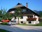 Apartmaji Žnidar