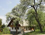 Dolinar - Krainer