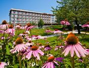 Hotel Jelovica Bled