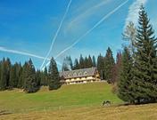 Hotel Jelka Pokljuka