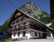 Apartmaji Logar Janez