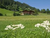 Ladestatthof